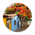 Village Traditionnel