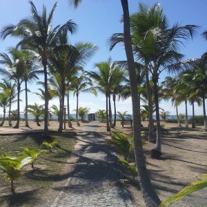 Galerie-Terrain-Immo-Bresil-plage-11
