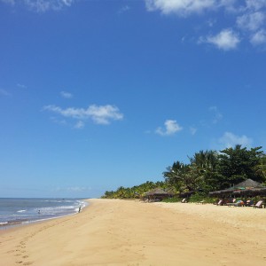 Galerie-Terrain-Immo-Bresil-plage-4