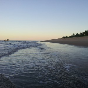 Galerie-Terrain-Immo-Bresil-plage-7