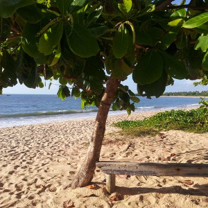 Galerie-Terrain-Immo-Bresil-plage-8