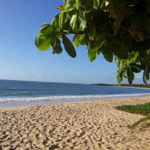 Galerie-Terrain-Immo-Bresil-plage-9