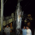 Pêche-Porto-Seguro-3
