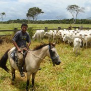 13.Projets agricoles au Brésil - Notre propriété
