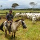 13.Projets agricoles au Brésil - Notre propriété